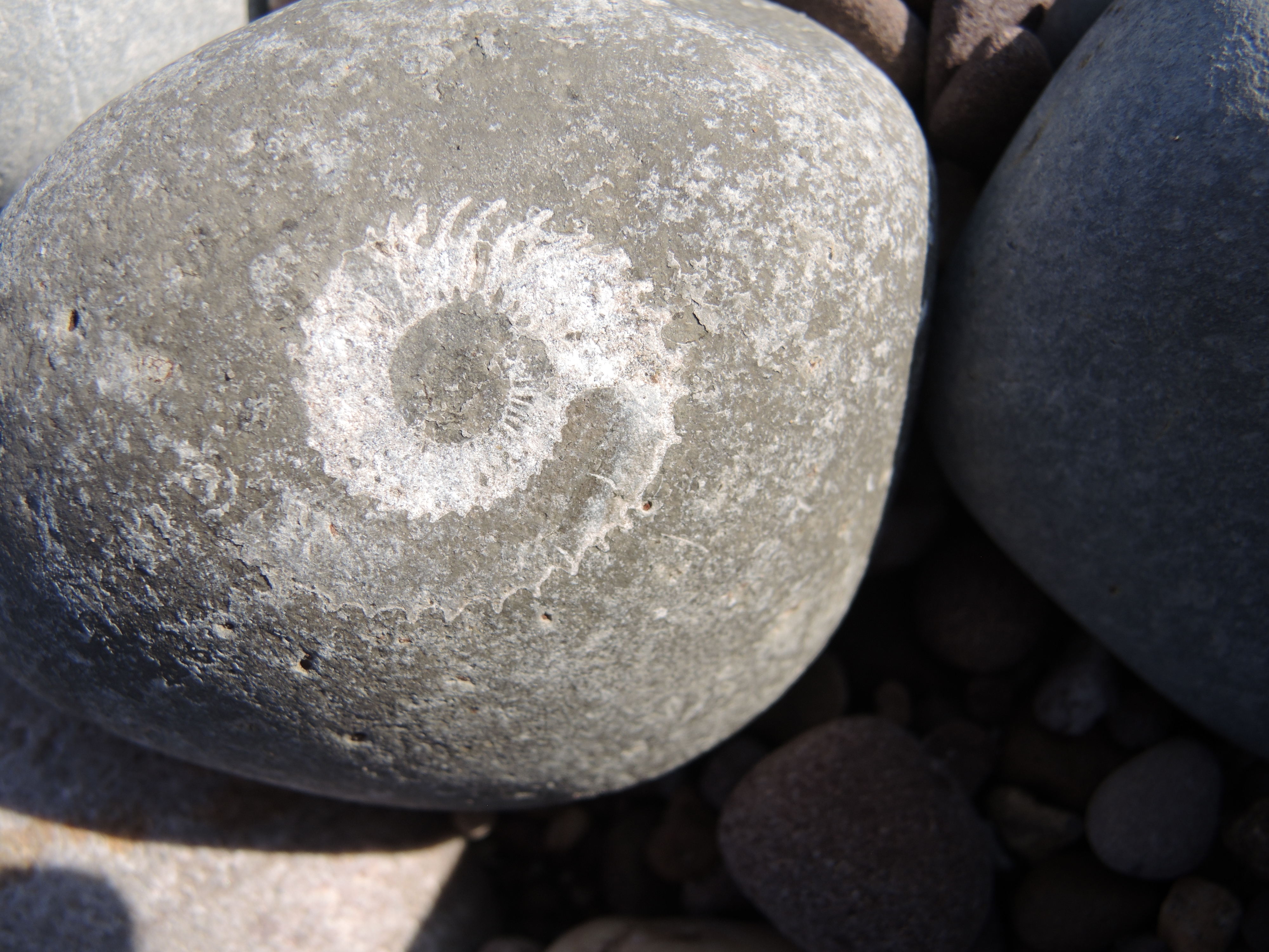A swirling mark - geograph.org.uk - 8137301